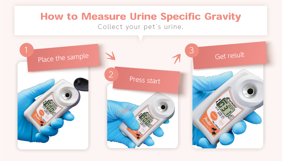 Collect_your_pet's_urine.