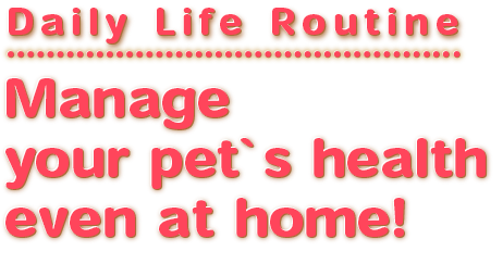 Manage your pet's health even at home!