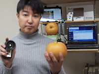To Measure Incoming Asian Pears Using the PAL-HIKARi12 (Asian Pear)