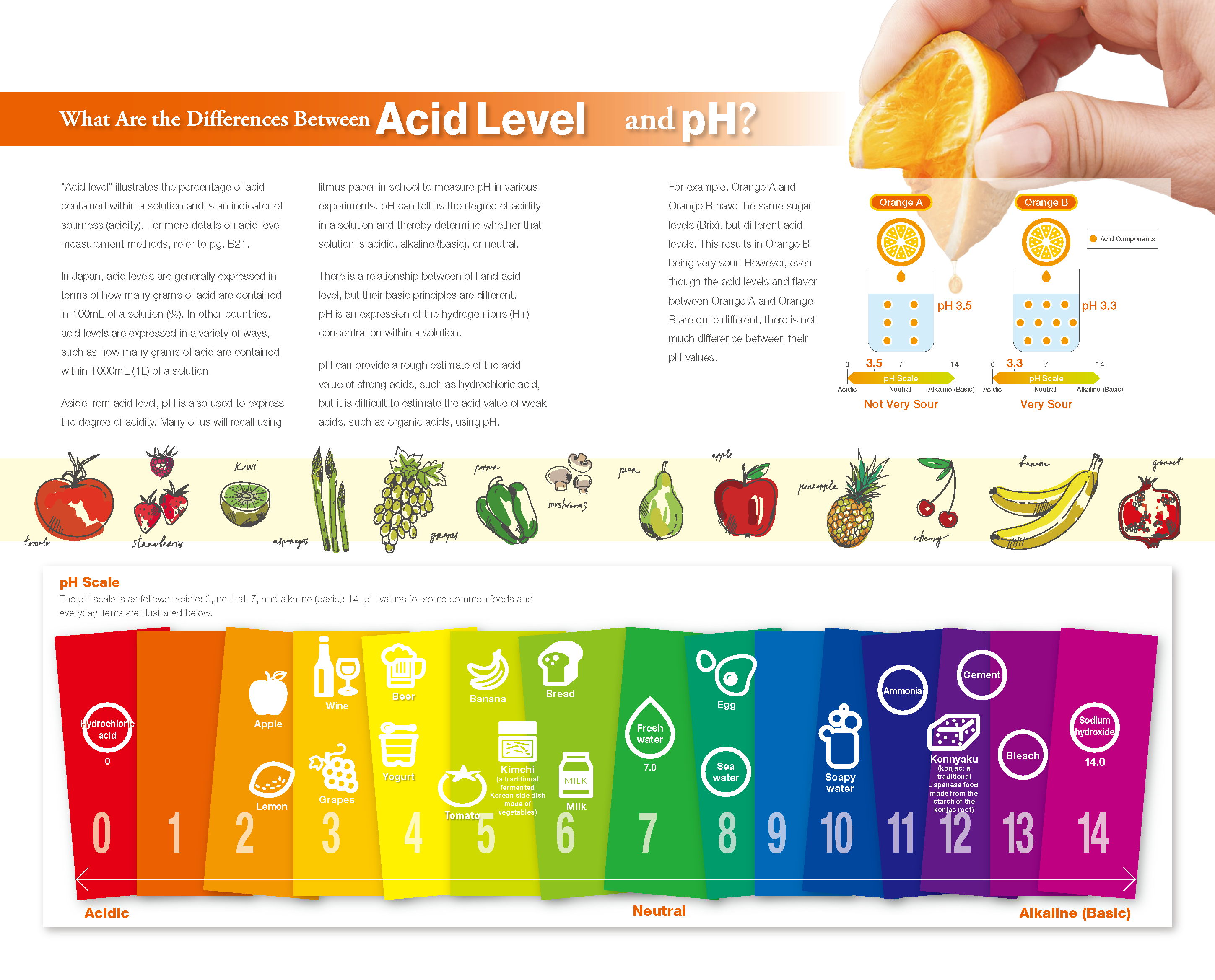 What Are the Differences Between Acid Level and pH?