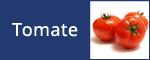 Tomate