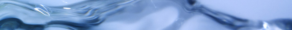 Ethyl Alcohol