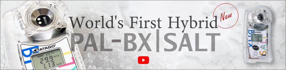 World's First Hybrid  PAL-BXlSALT