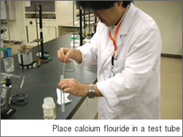 Place calcium flouride in a test tube
