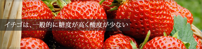 イチゴは、一般的に糖度が高く酸度が少ない