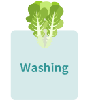 洗浄