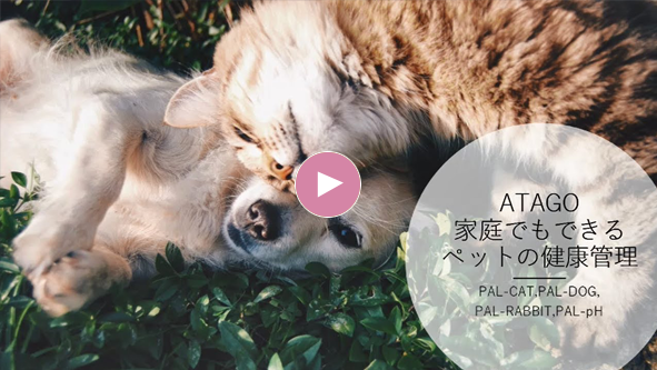 ポケット尿比重屈折計（犬、猫、ウサギ）― 家庭でもできるペットの健康
