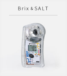 Brixsalt