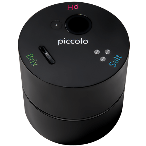 piccolo