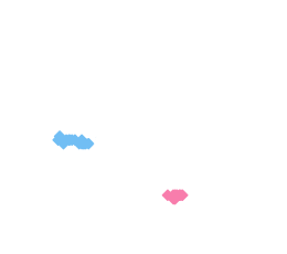 スクロース（ショ糖）