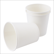Disposable Containers