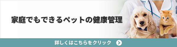 ポケット犬猫尿比重屈折計 PAL-DOG&CAT | アタゴショップ | 株式会社アタゴ