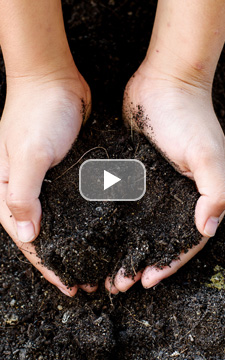 土壌の水分比 PAL-Soil