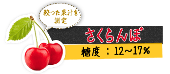 さくらんぼ 絞った果汁を測定 糖度 : 12～17%