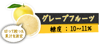 グレープフルーツ 切って絞った果汁を測定 糖度 : 10～11%