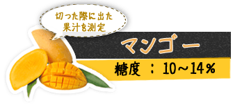 マンゴー 切った際に出た果汁を測定 糖度 : 10～14%