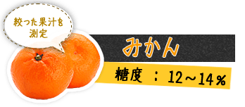 みかん 絞った果汁を測定 糖度 : 12～14%