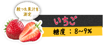 いちご 絞った果汁を測定 糖度 : 8～9%