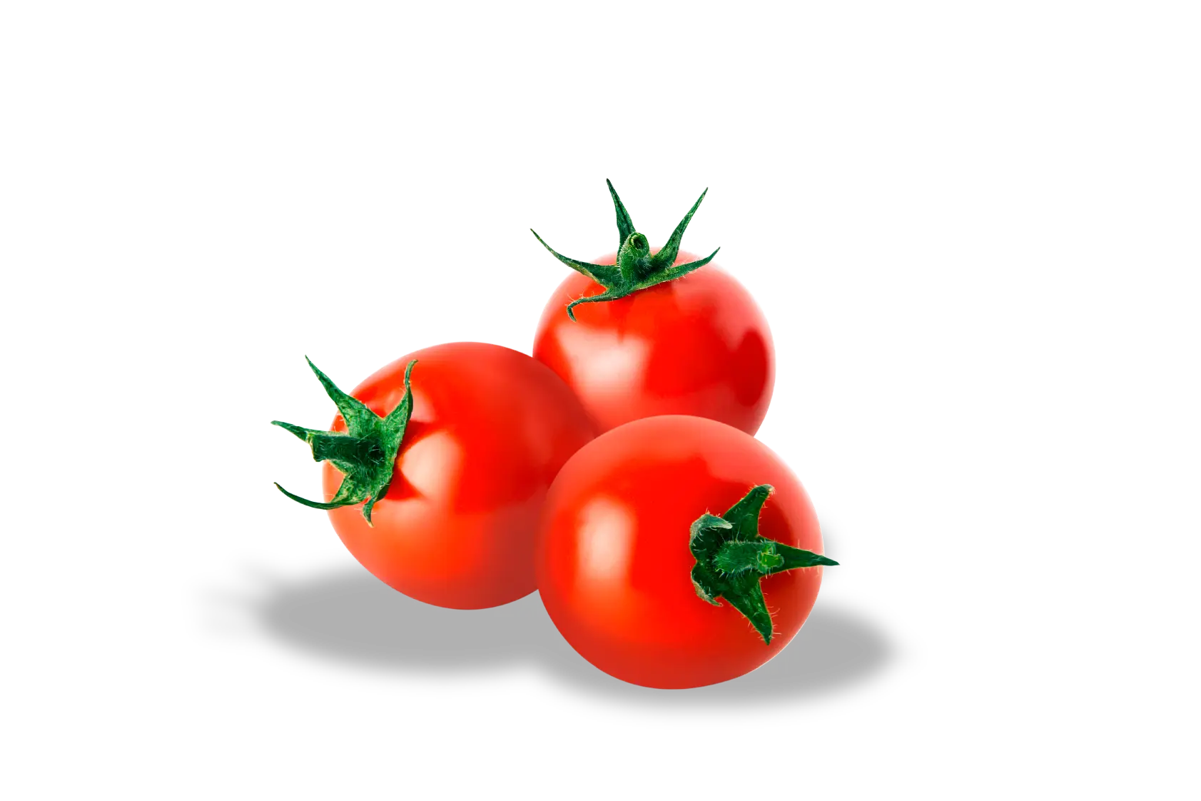トマトのトップ画像