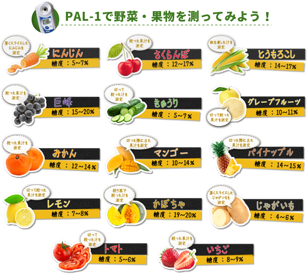 PAL-1で野菜・果物を測ってみよう！