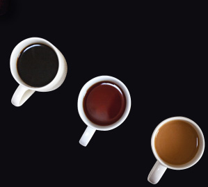 ポケットコーヒー濃度計 PAL-COFFEE（Brix/TDS）有名バリスタも愛用 