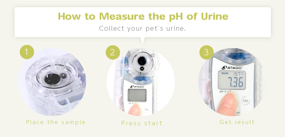 How_to_Measure_the_pH_of_Urine