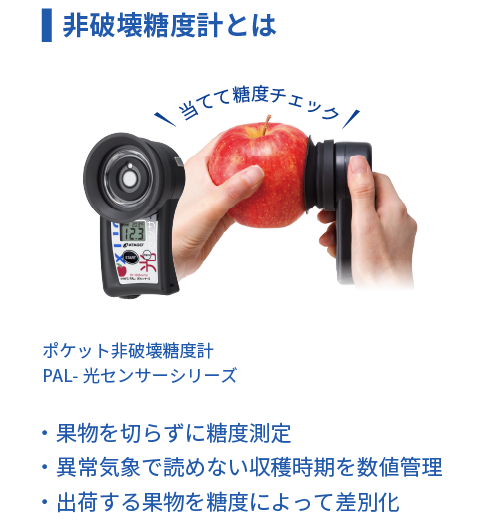 非破壊糖度計とは