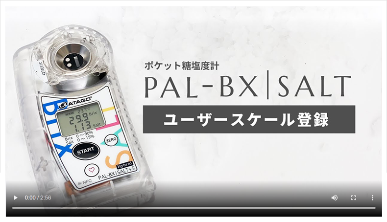 PAL-BX|SALTスケール登録